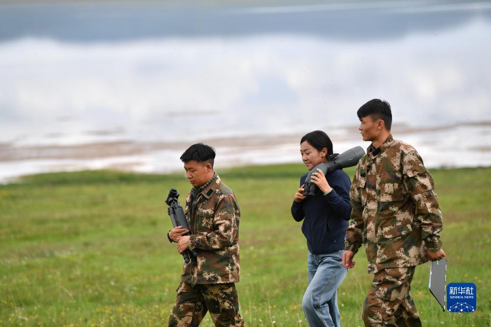 银河网投